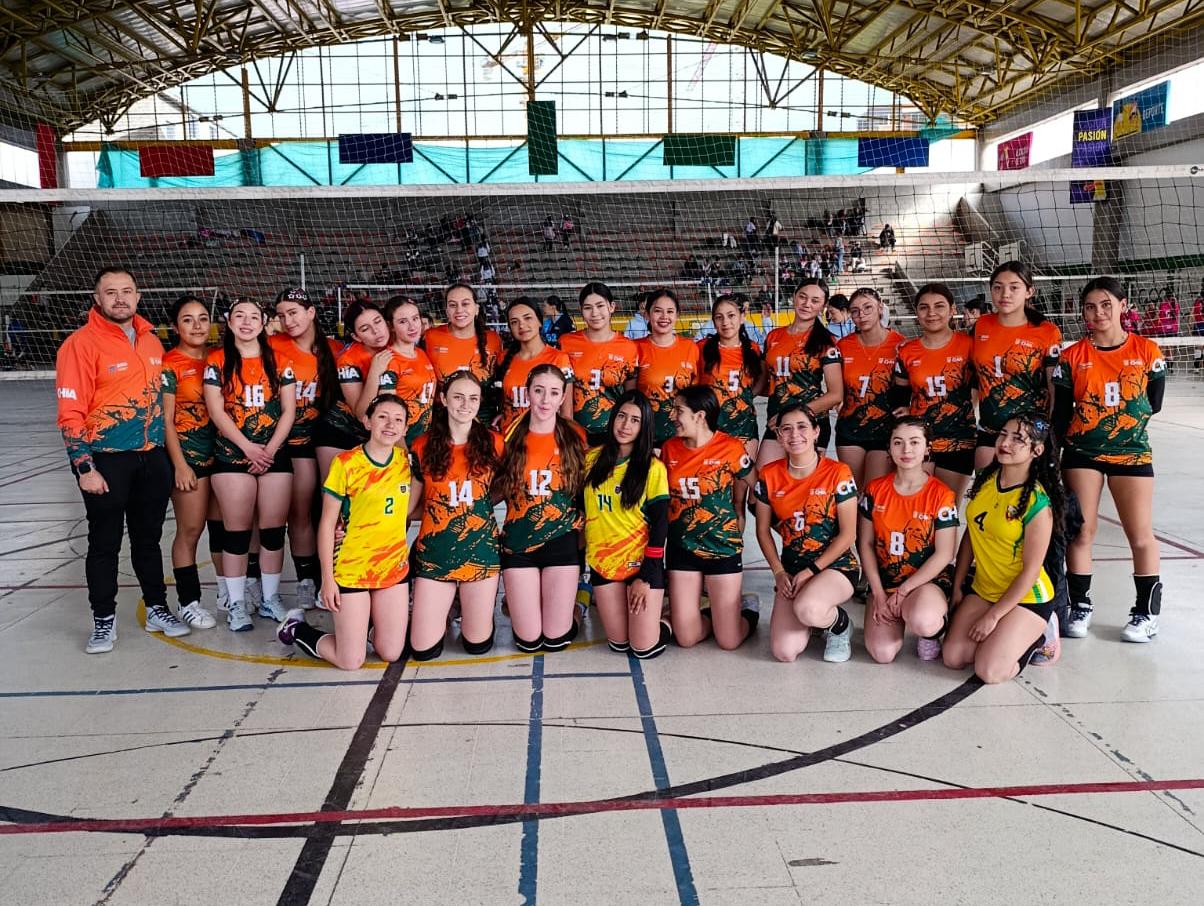 VOLEY 2026